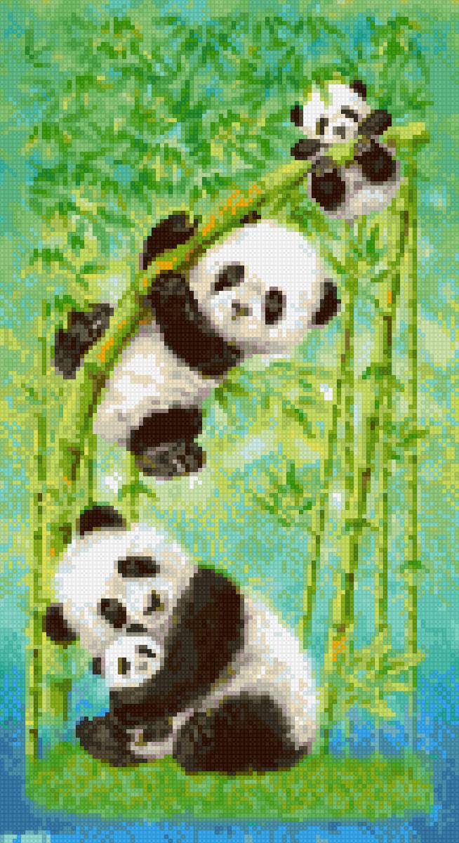 Gau,cây - предпросмотр