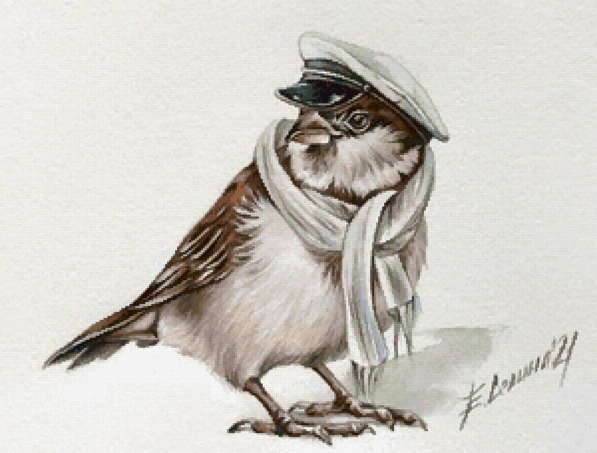 воробей - предпросмотр