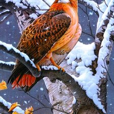 Схема вышивки «№2679530»