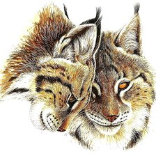 Схема вышивки «подушка  "милота"»