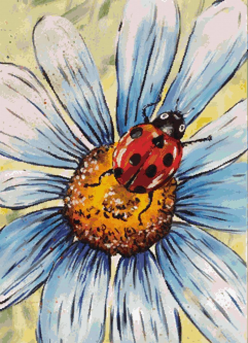 божья коровка - предпросмотр