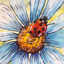 божья коровка