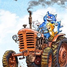 синие коты весело