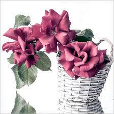 Схема вышивки «Шелковые розы»