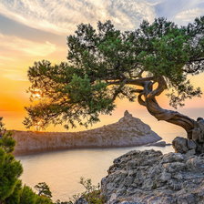 Схема вышивки «дерево на скале»