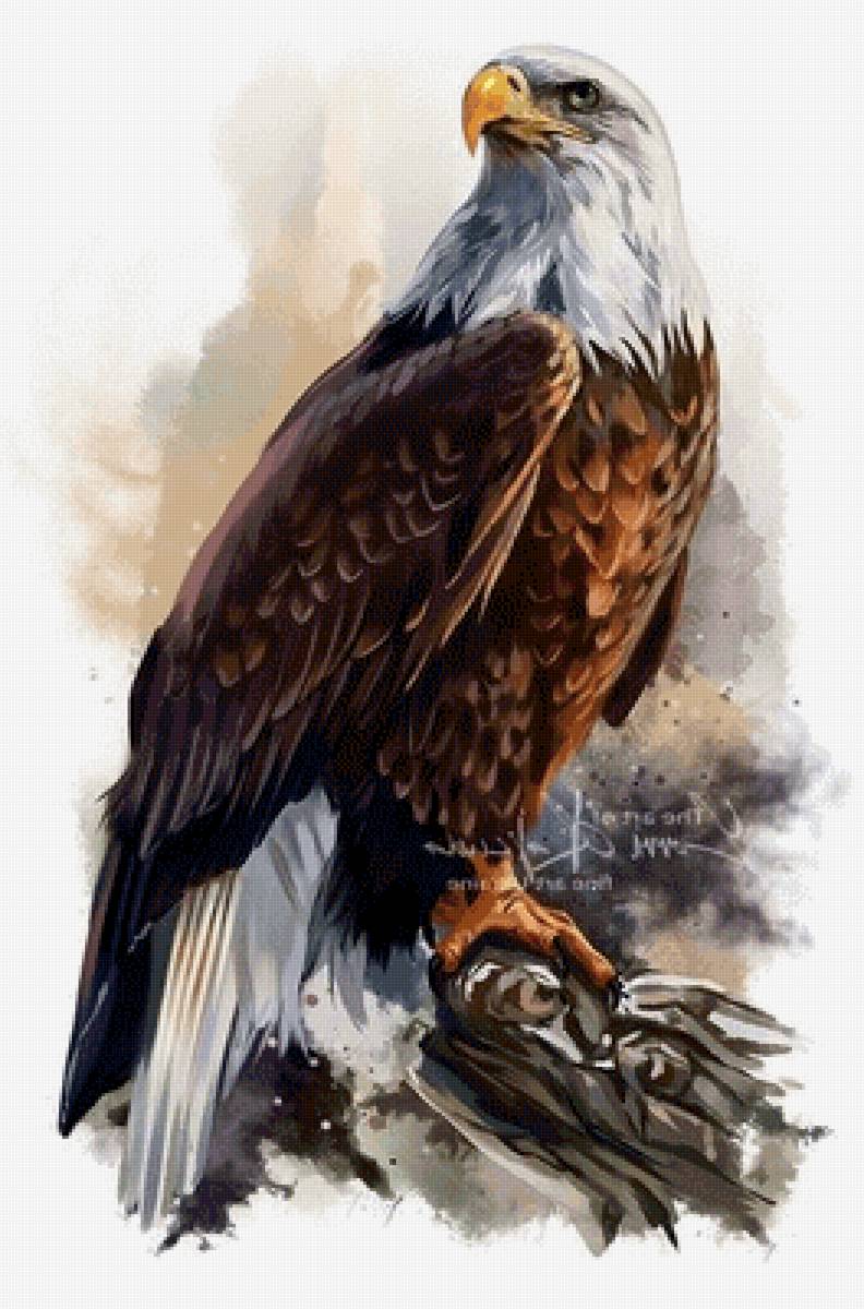 Белоголовый орлан - художники - предпросмотр