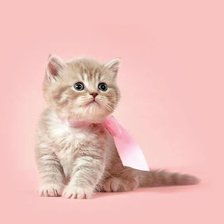 Схема вышивки «Киска»