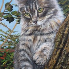 Задумчивый кот