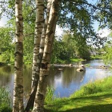 Схема вышивки «Лес»