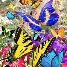 Схема вышивки «№2681733»