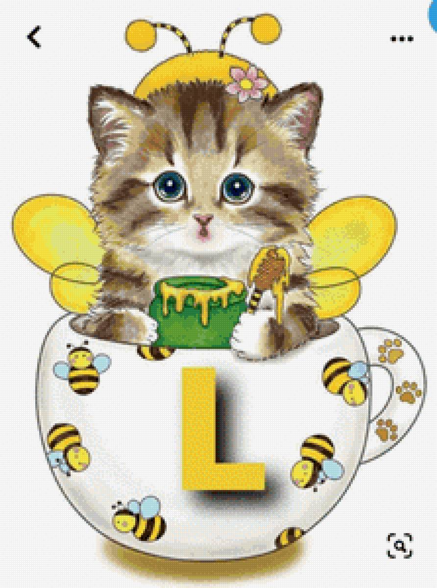 Mèo mật ông - mèo - предпросмотр