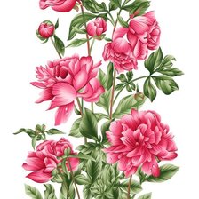 Схема вышивки «Пионы»