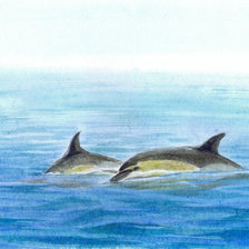 Схема вышивки «№2681940»