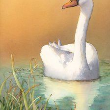 Схема вышивки «Лебедь»