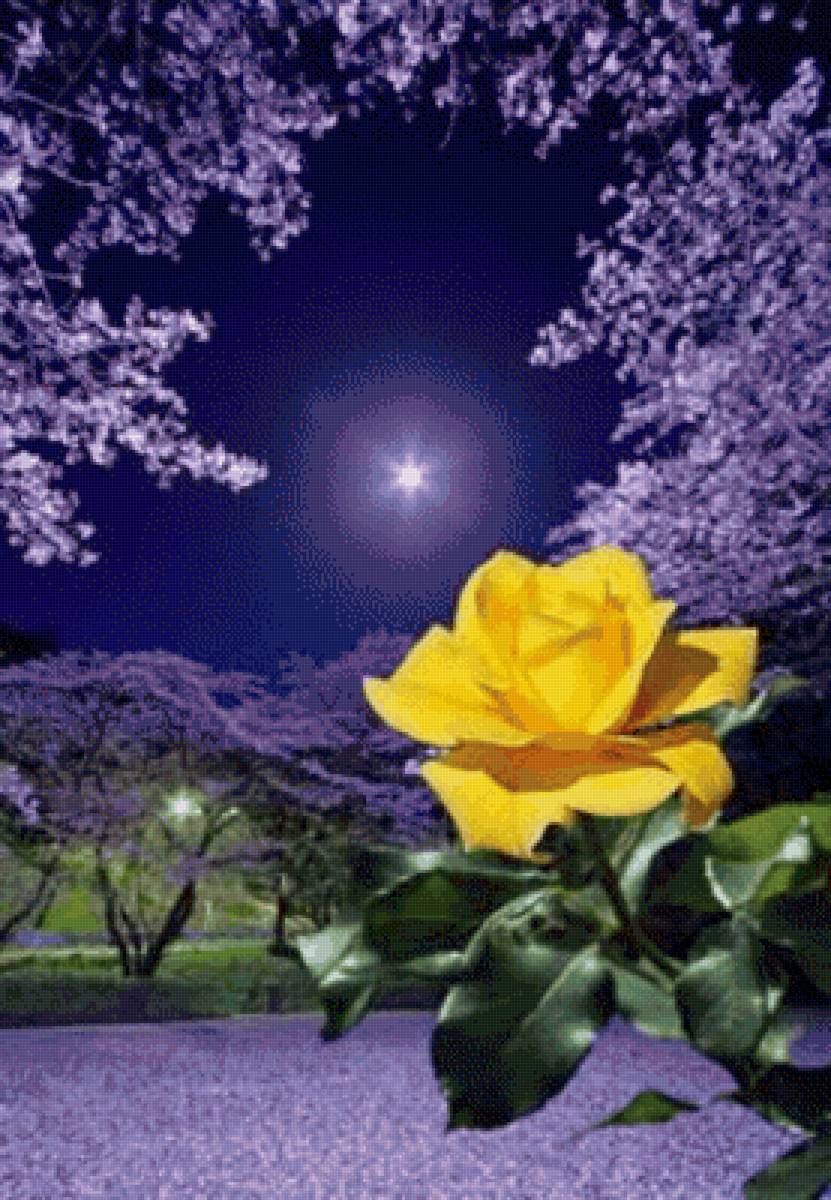 №2682161 - предпросмотр