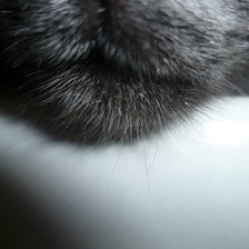 Схема вышивки «Персик»