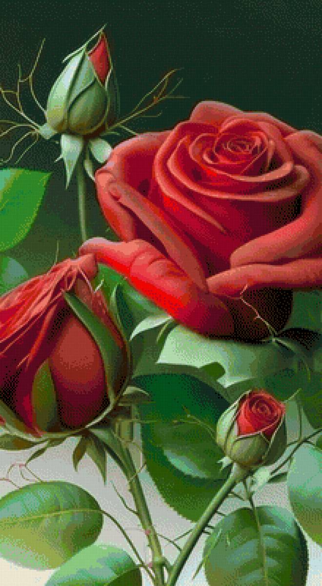 №2682409 - предпросмотр