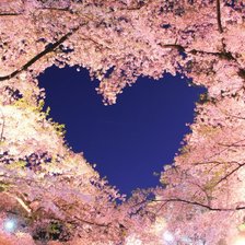 Схема вышивки «Япония»