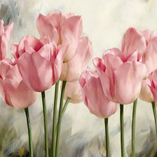 Розовые тюльпаны