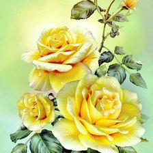 Схема вышивки «Жёлтые розы»