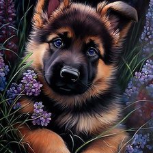 Схема вышивки «Дружок»