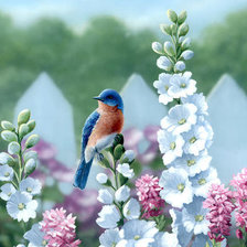 Схема вышивки «№2682794»