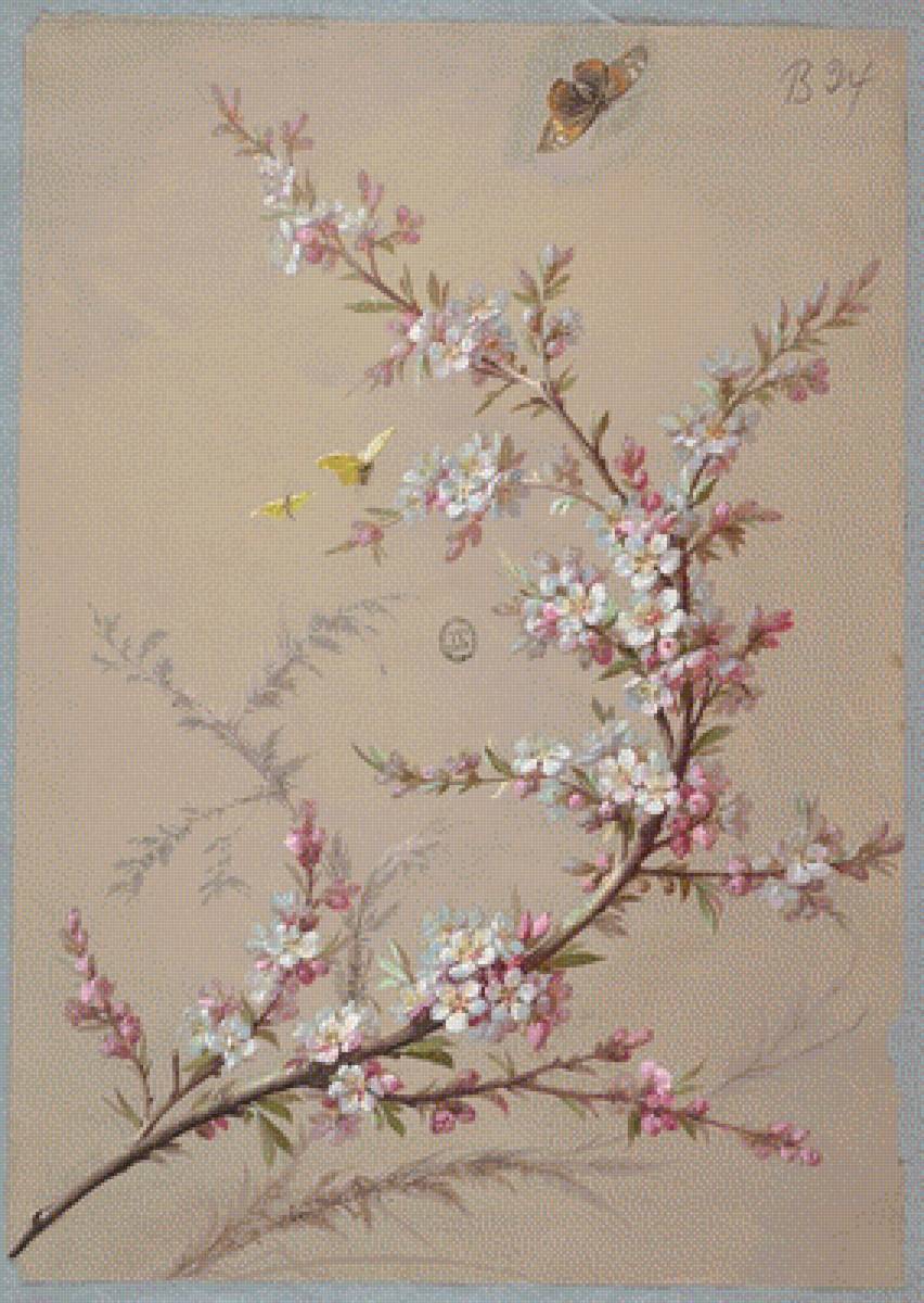 Hoa - предпросмотр