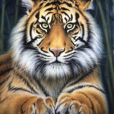 Схема вышивки «№2683222»