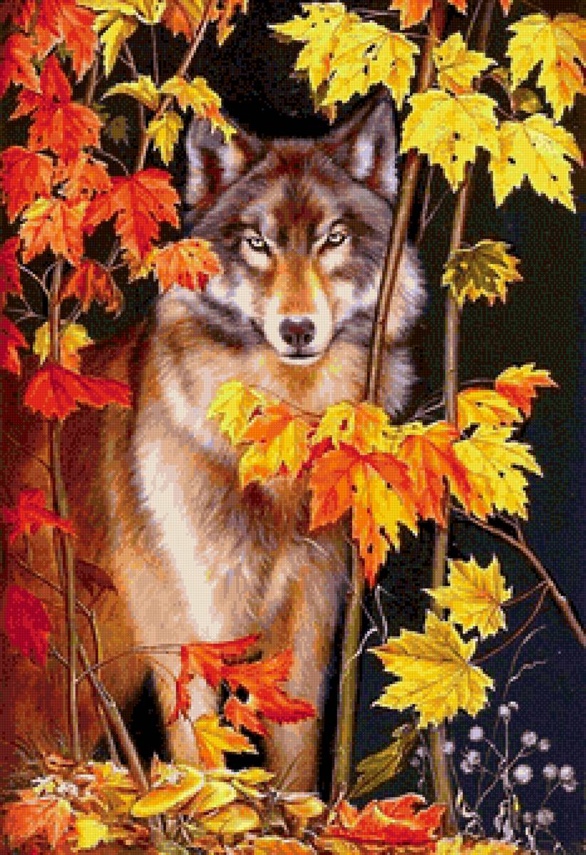 №2683661 - взгляд, волк - предпросмотр