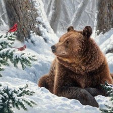 Схема вышивки «медведь»