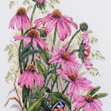Схема вышивки «Coneflower»