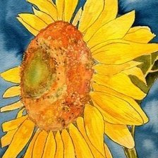 Схема вышивки «подсолнух»