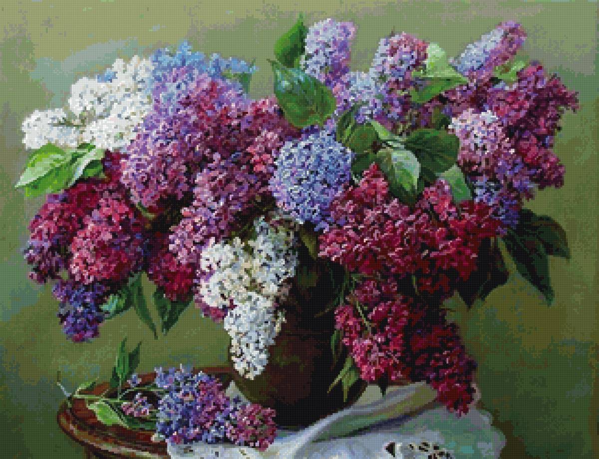 сирень - предпросмотр