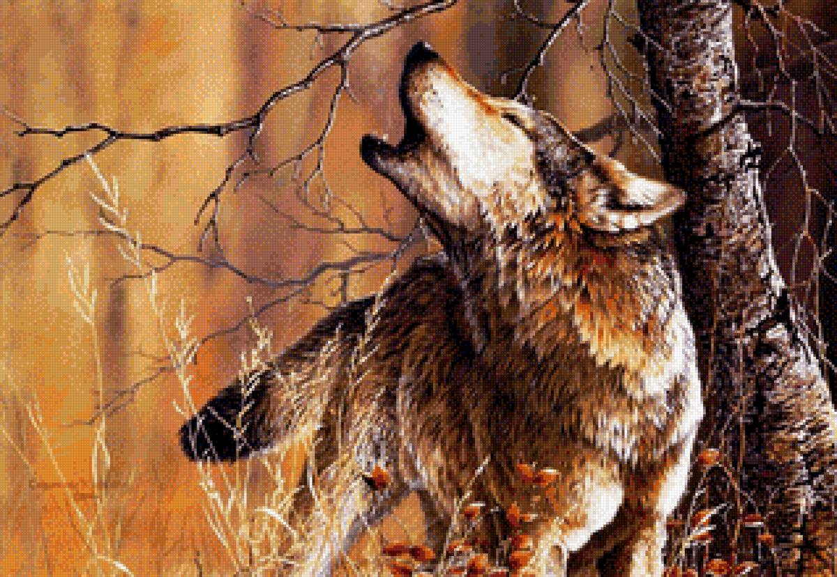 №2684381 - песня, волк, природа - предпросмотр