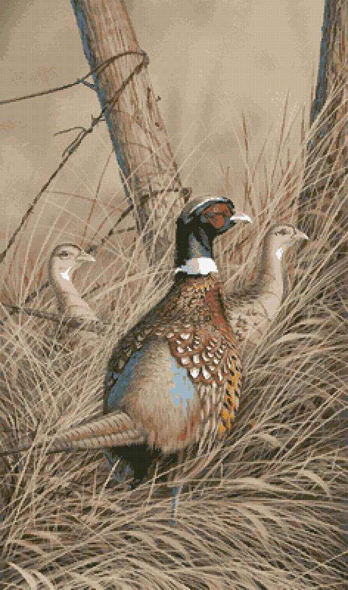 №2684462 - предпросмотр