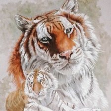 Схема вышивки «№2684891»