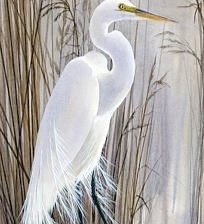 Схема вышивки «№2684893»