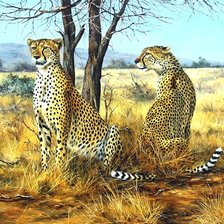 Схема вышивки «№2684957»