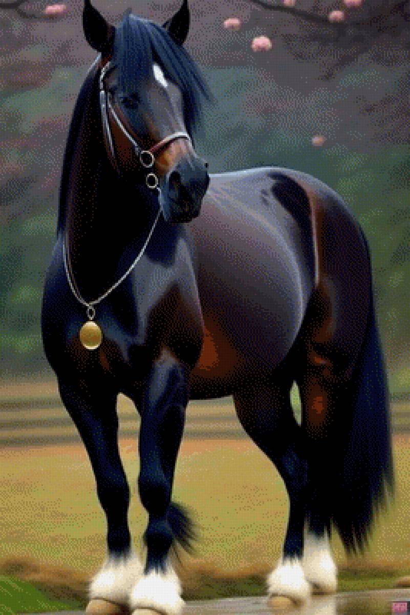 Magnificul - natura - предпросмотр