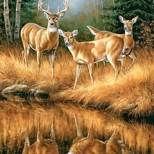 Схема вышивки «№2685400»