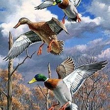 Схема вышивки «№2685429»