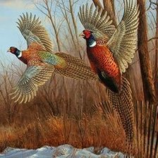 Схема вышивки «№2685437»