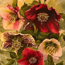 Схема вышивки «№2685441»