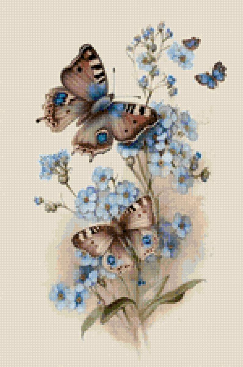 گل - گل،طبیعت،آبی،پروانه - предпросмотр