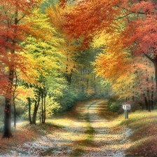 Схема вышивки «№2686120»