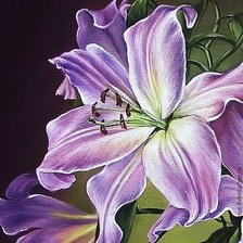 Схема вышивки «подушка лилия»