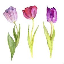 Схема вышивки «подушка тюльпаны»