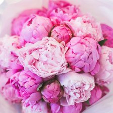 Схема вышивки «№2686467»