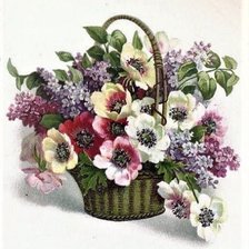 Схема вышивки «Anemone, cvece»