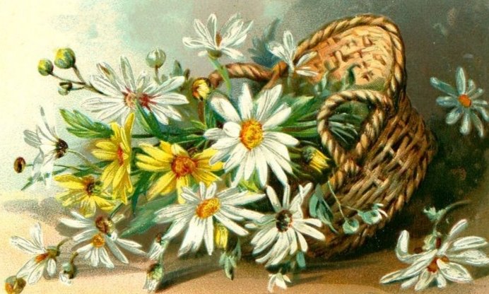 Cvece - оригинал